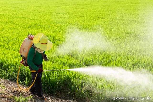 太阳能杀虫灯与杀虫剂对抗，谁更胜一筹？